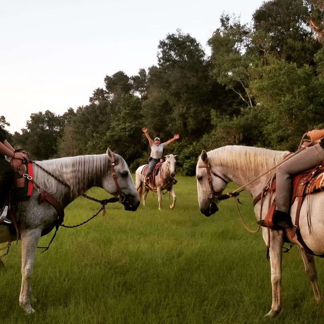 Diamond Oaks Farm -Stay and Ride Horse Ranch Hotel