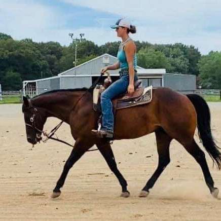Noble Equine Solutions