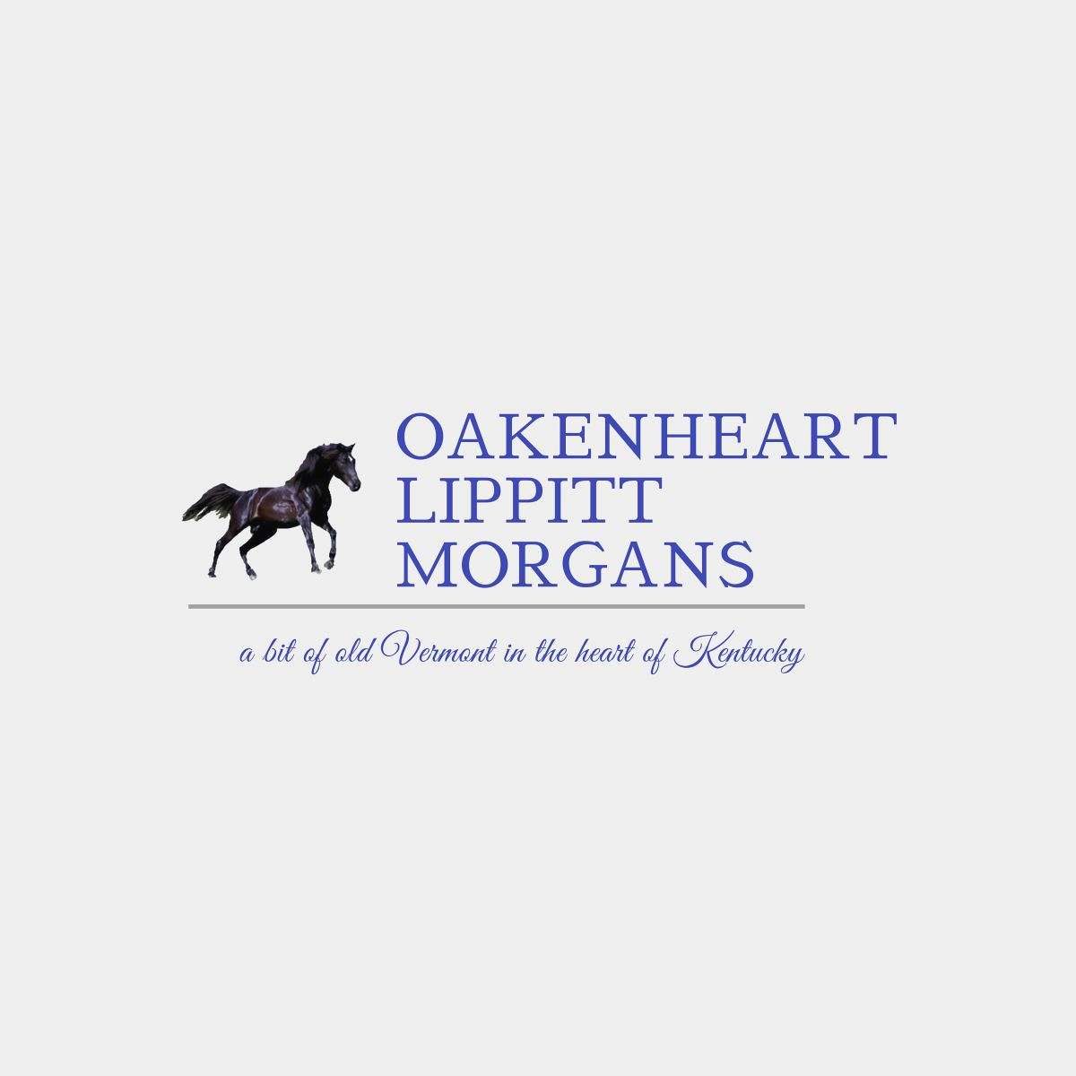 OakenHeart Lippitt Morgans LLC