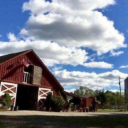 Silver Eagle Stable