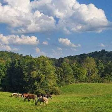 Ridge View Farm