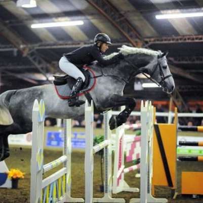 Bayview Stud and Sport Horses