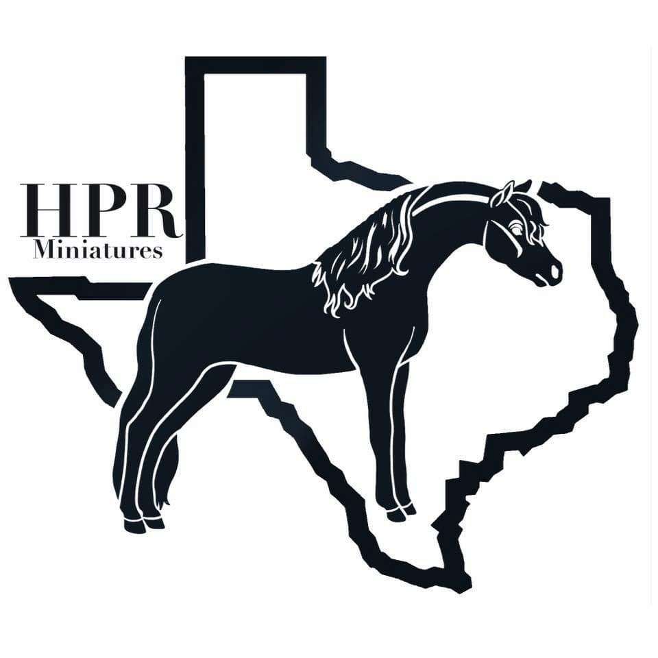 High Plains Ranch Miniature Horses