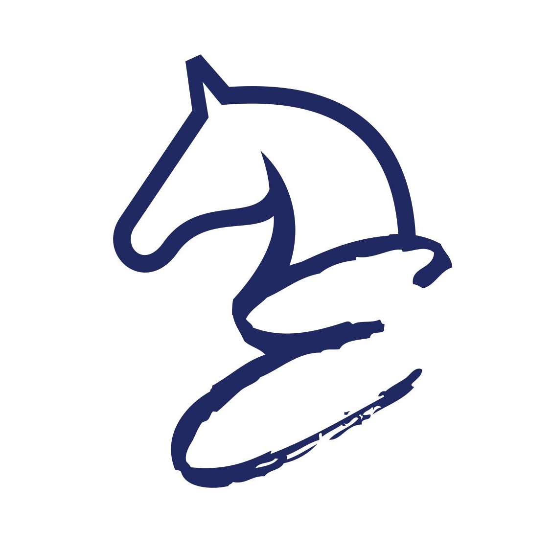 Evolution Equestrian Co