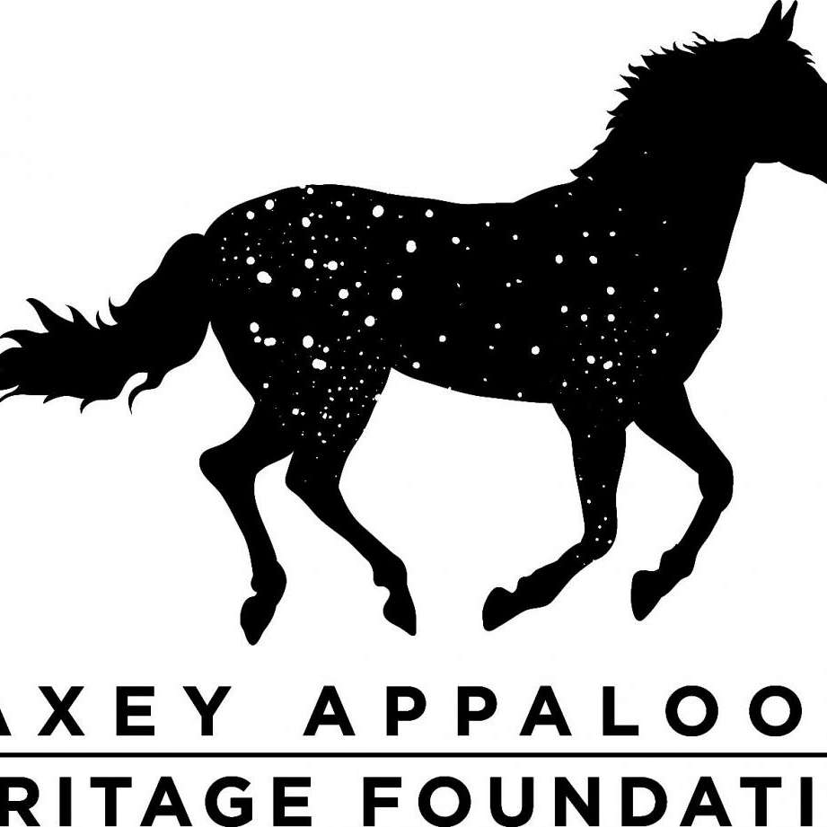 C A Maxey Appaloosa Heritage Foundation 
