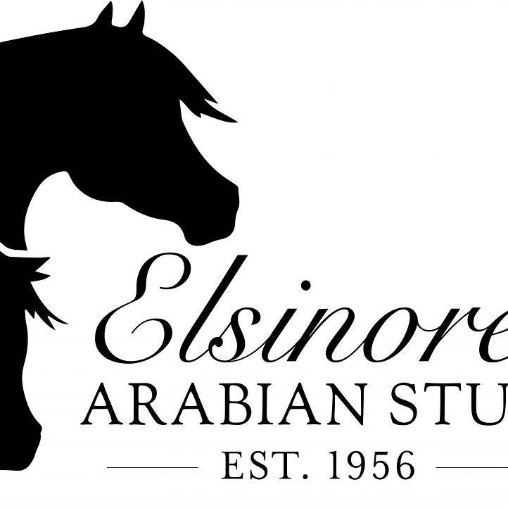 Elsinore Arabian Stud