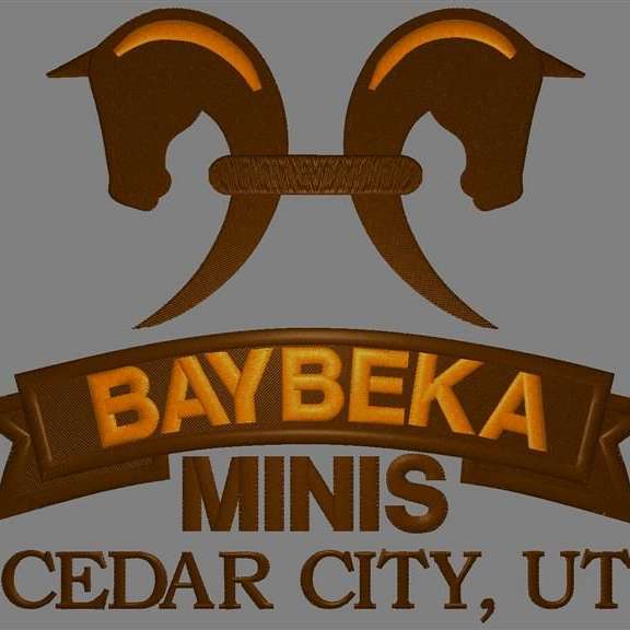 Paint Miniature Filly for Sale