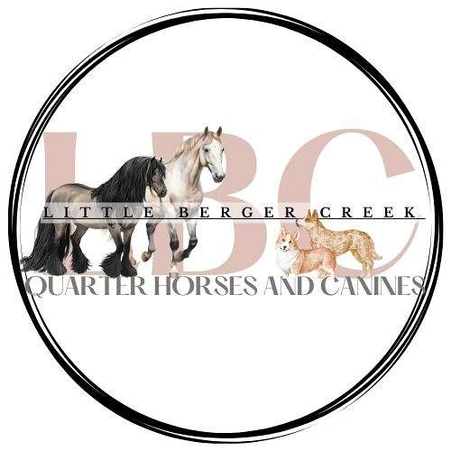Little Berger Creek Quarter Horses