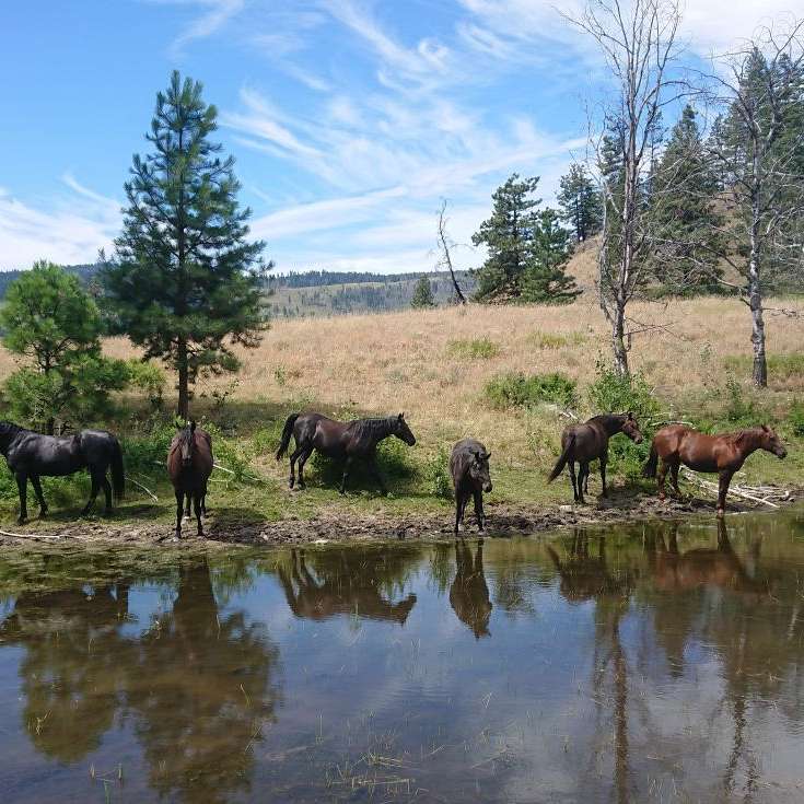 Summers Creek Ranch