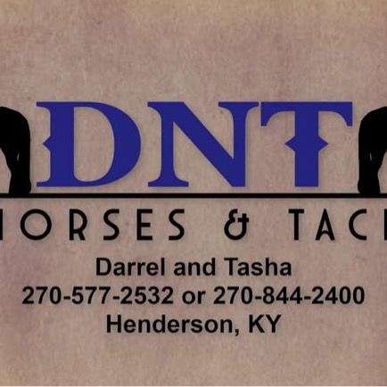 D-N-T Horses