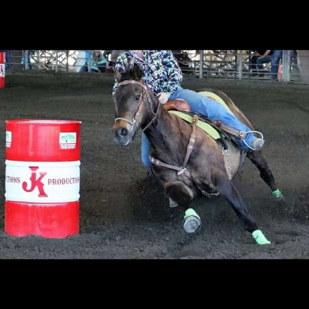 JK Equine Training