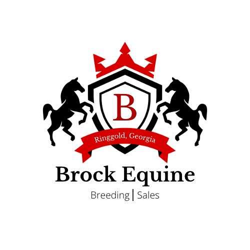 Brock Equine- Horse Breeding and Training
