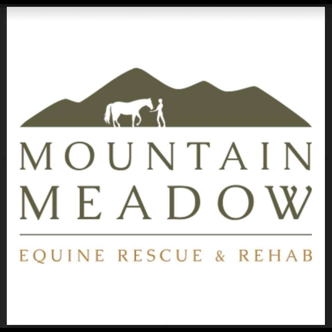 Mountain Meadow Equine Rescue and Rehabilitation 