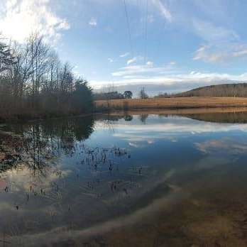 Horsefeathers Farm