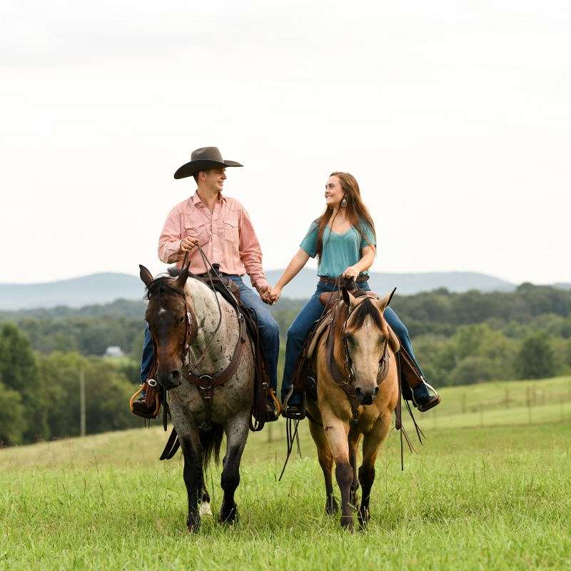 Maxwell Quality & Family Horses