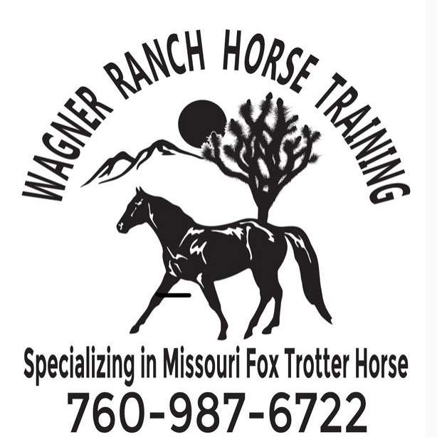 Wagner Ranch horse Training