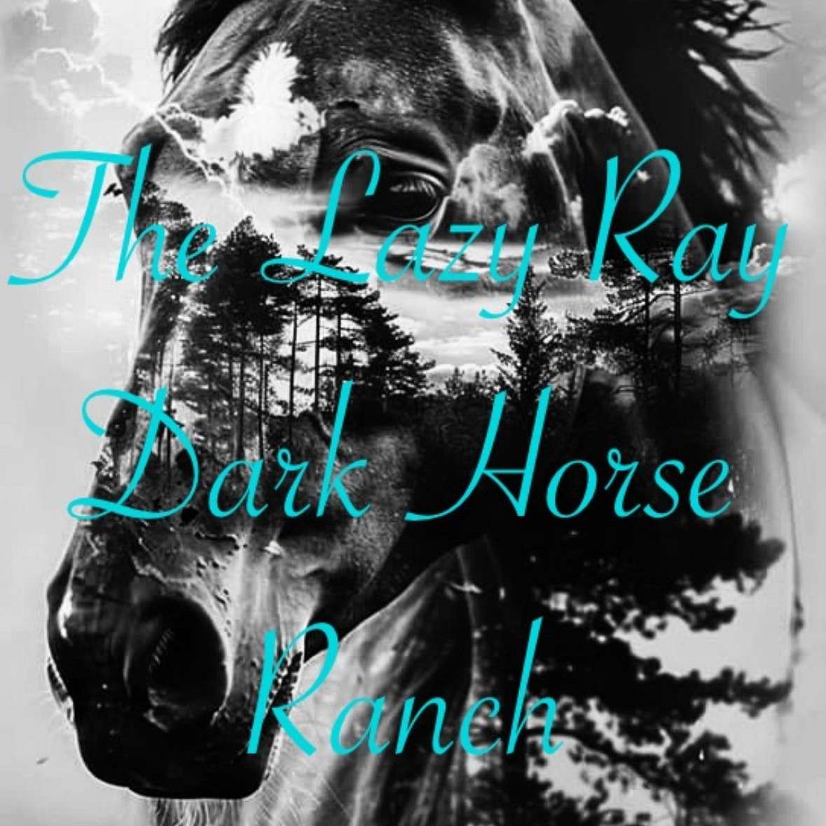 The Lazy Ray Dark Horse Ranch 