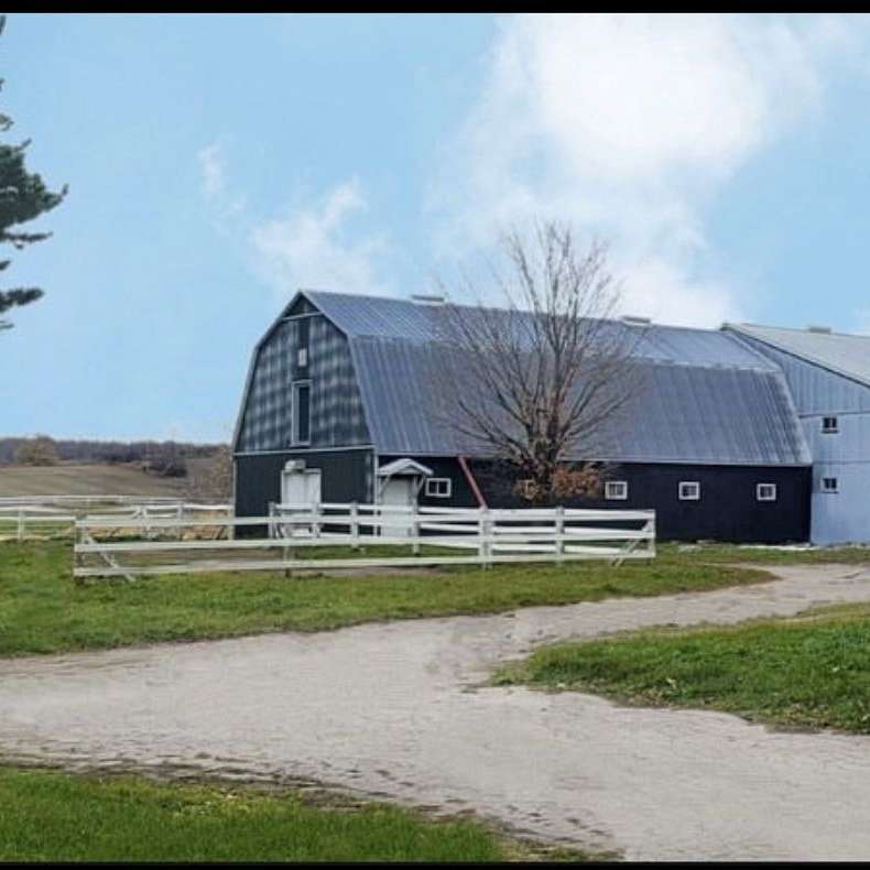 Cherry Creek Stables