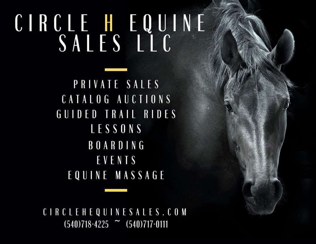 Circle H Equine Sales LLC on EquineNow