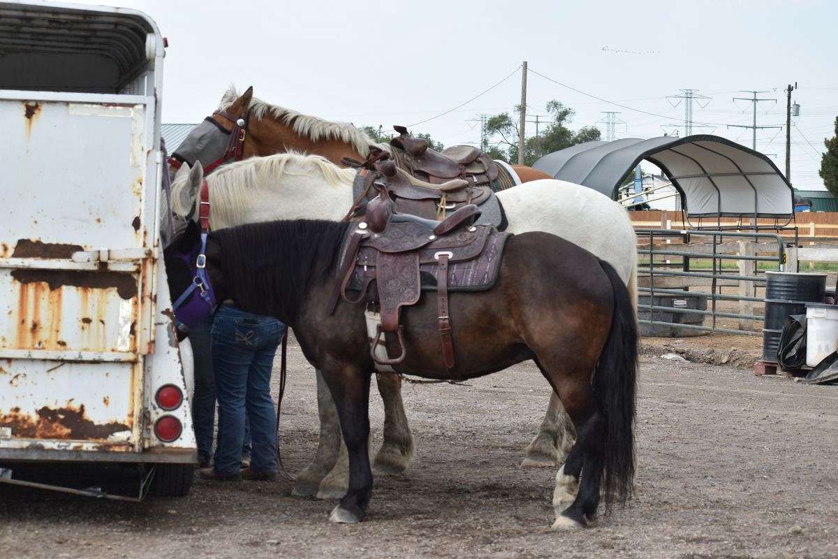 Riders of the Mark on EquineNow