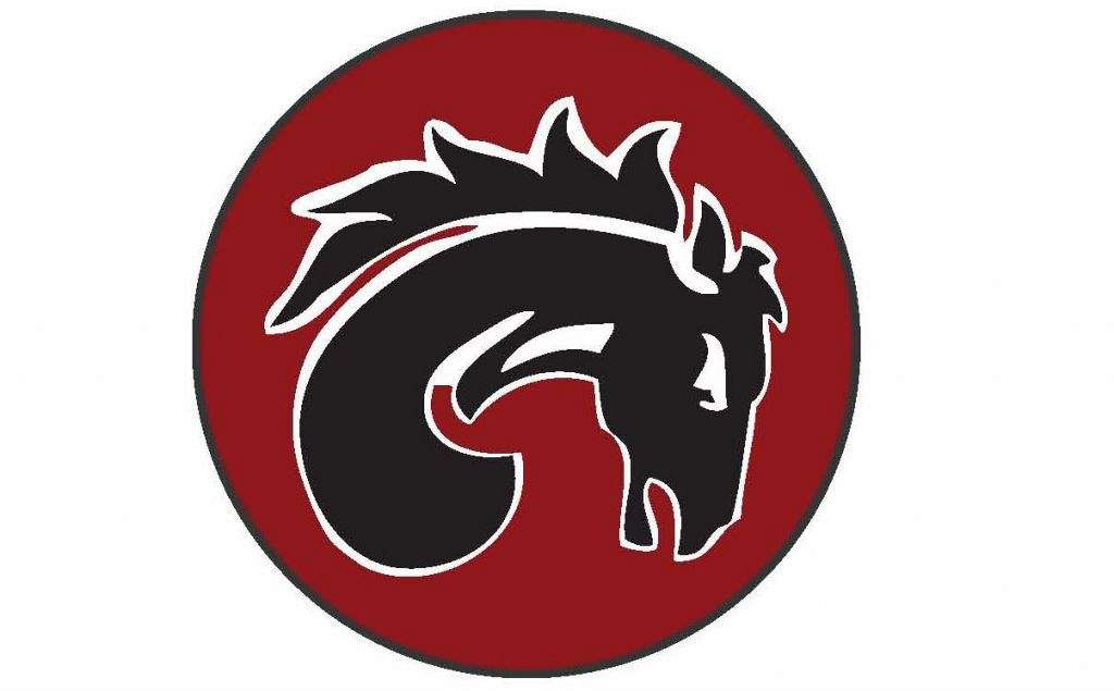 Iron Maidens Thoroughbreds on EquineNow