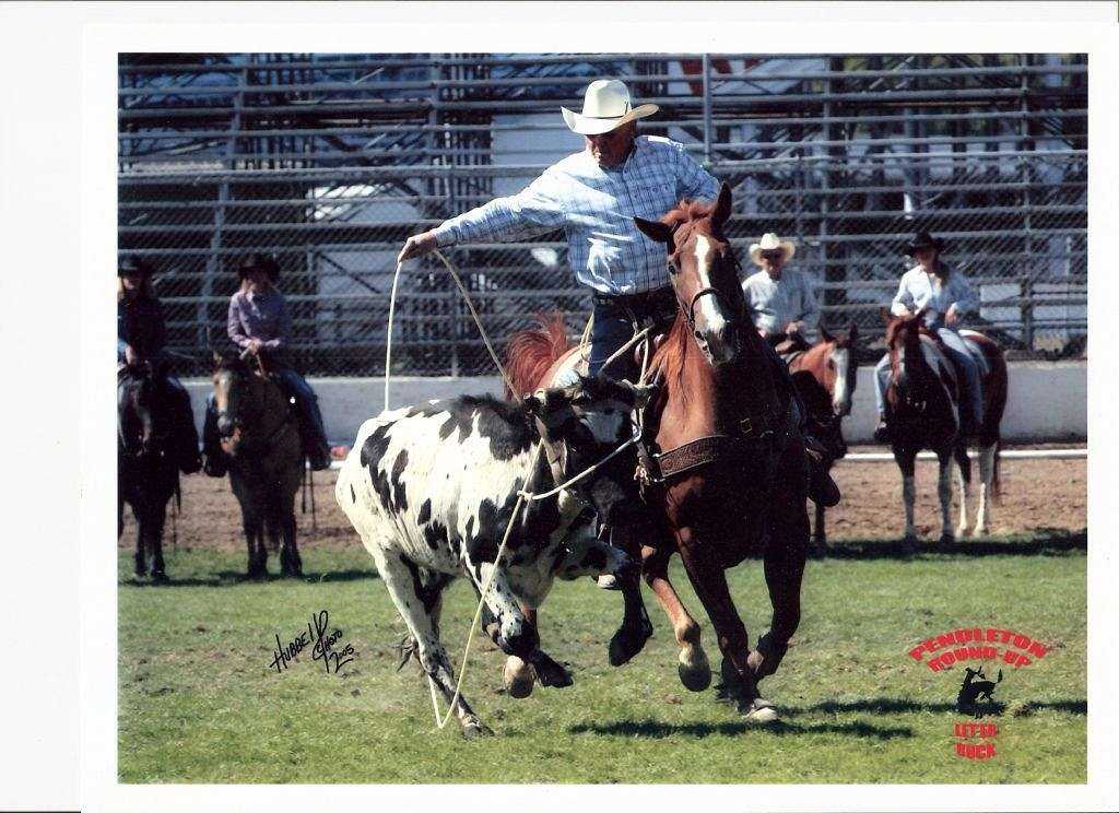 Brent Rope Horses on EquineNow