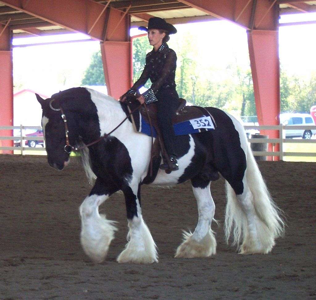 Feathered Gold Stables on EquineNow