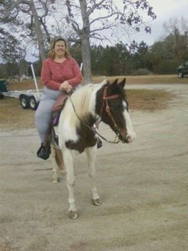 Running Bear Farm on EquineNow