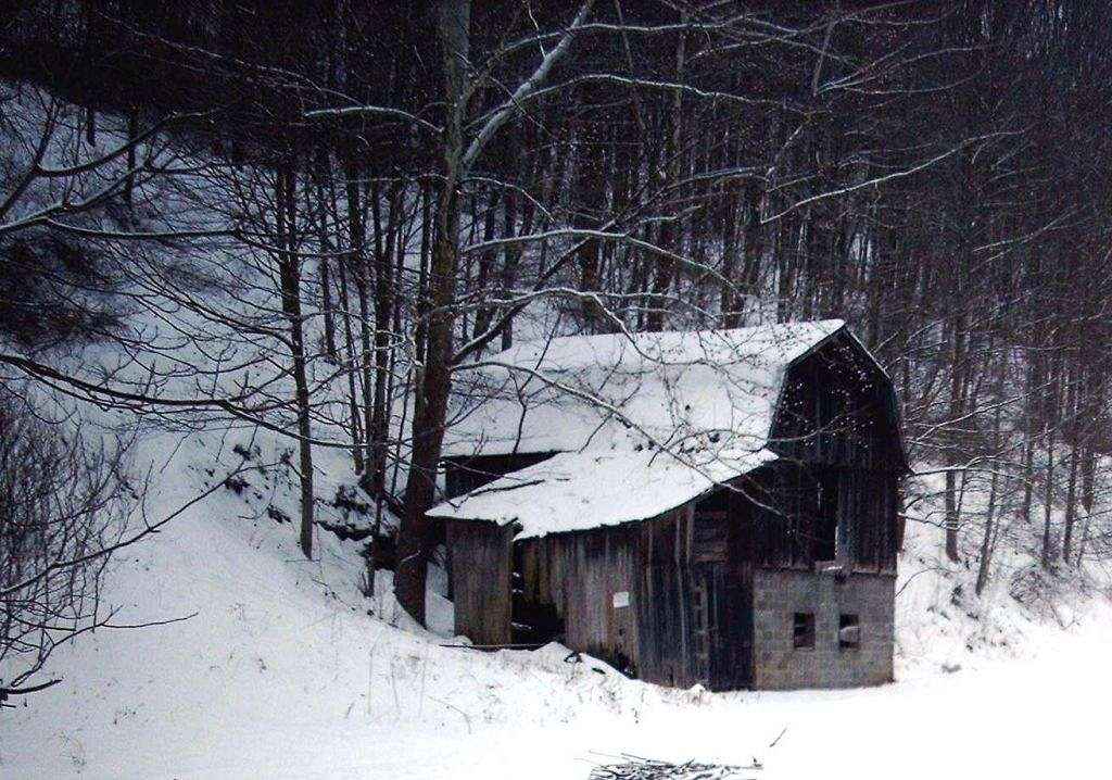 Thunder Ridge Farm On Equinenow