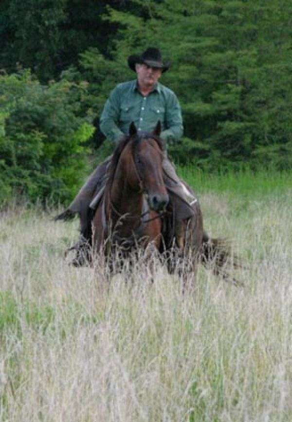 Cross Spur Ranch on EquineNow