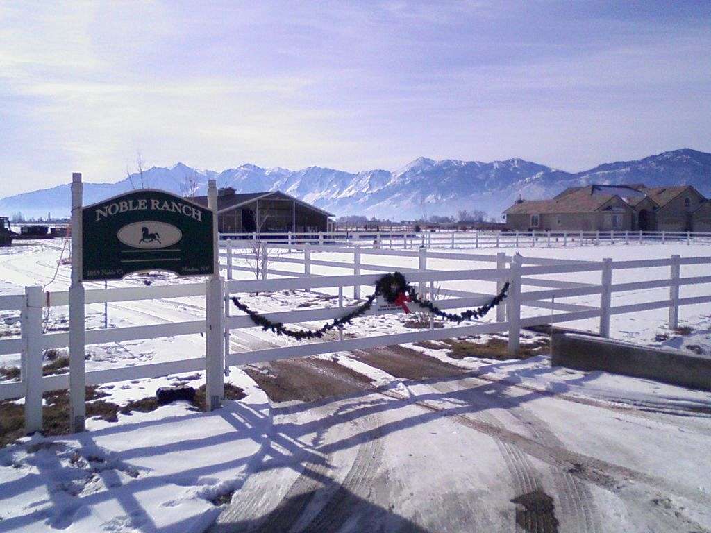 Blue Rose Performance Horses on EquineNow