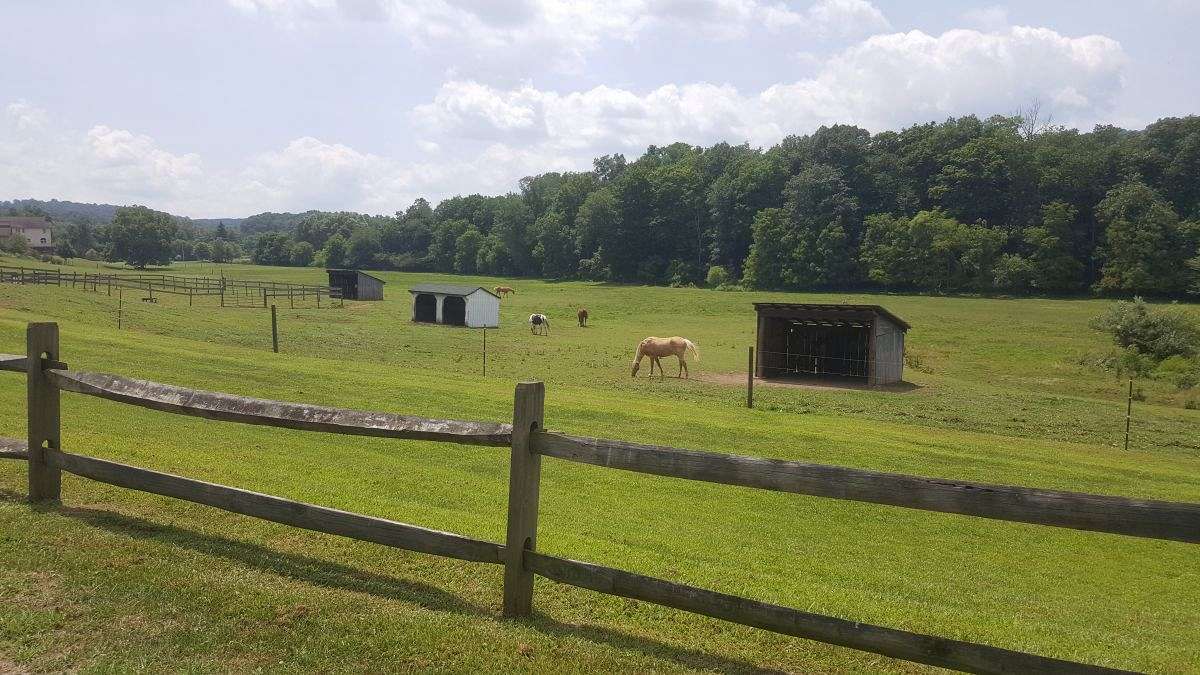 Spring House Stables on EquineNow