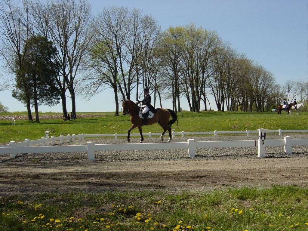 Winchester Farm on EquineNow