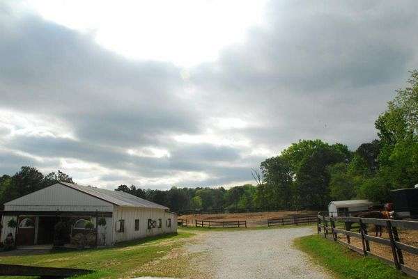 Step-N-Free Stables on EquineNow