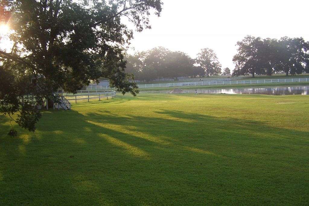 McClain Farms on EquineNow