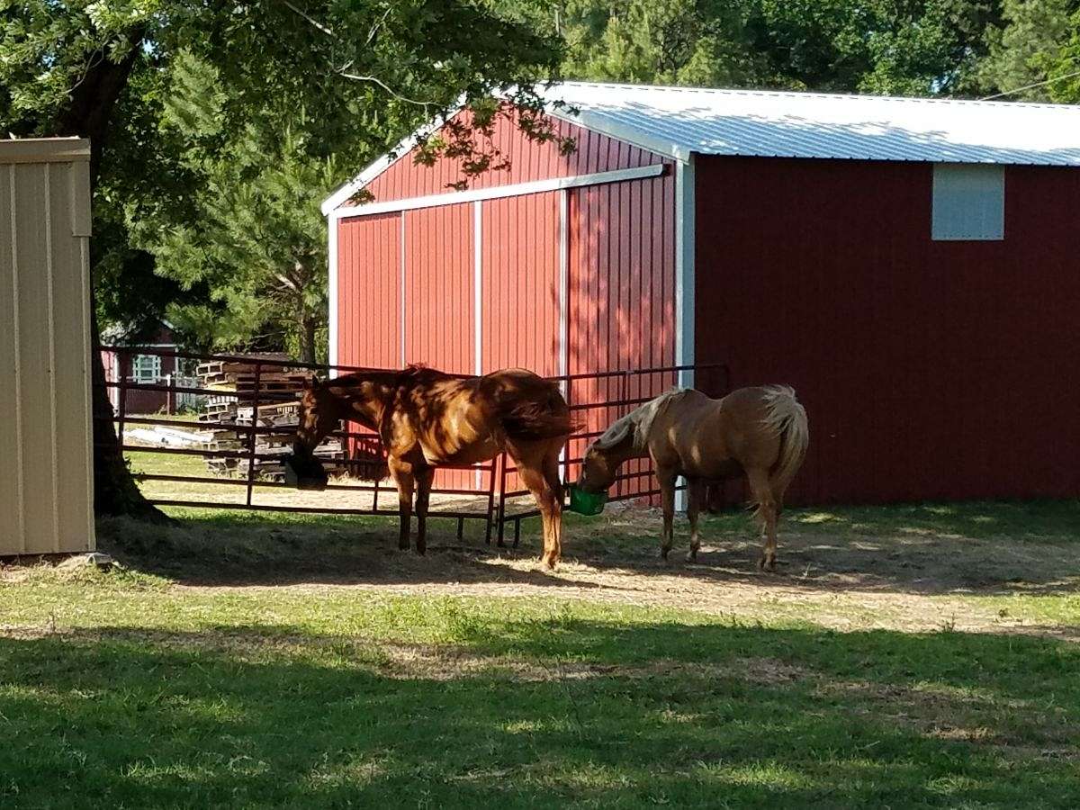 Three Horse Farm Boarding on EquineNow