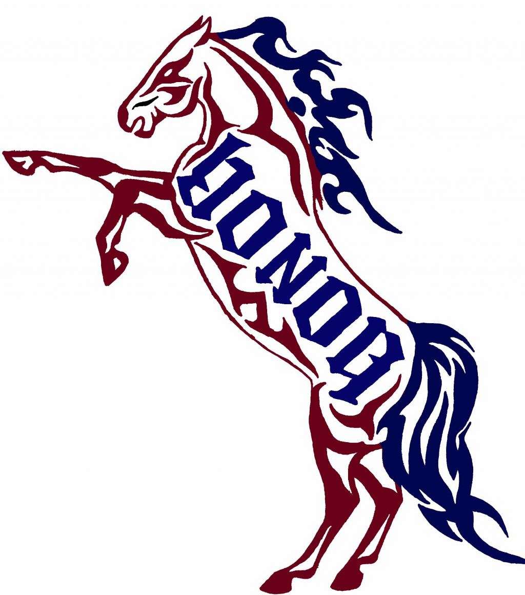 Color Me Quarter Horses & Paints on EquineNow