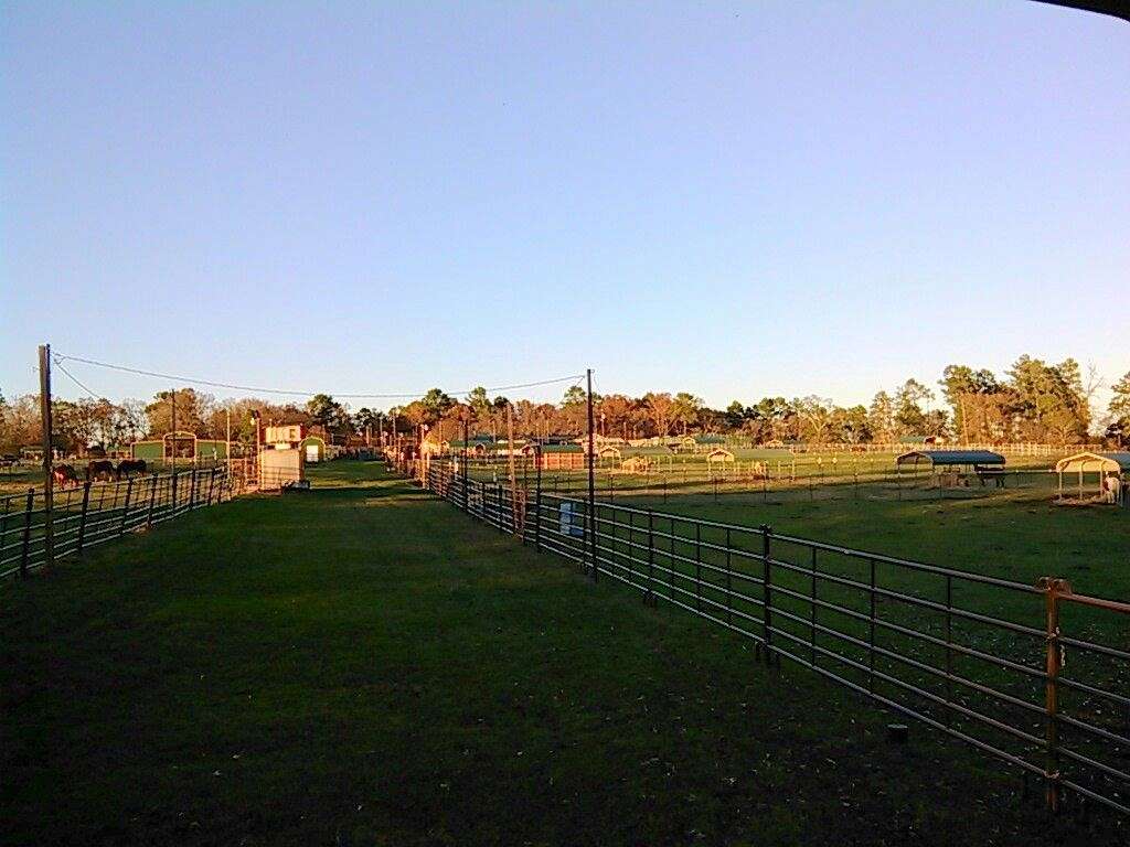 Rockin H Ranch Boarding and Training Facility on EquineNow