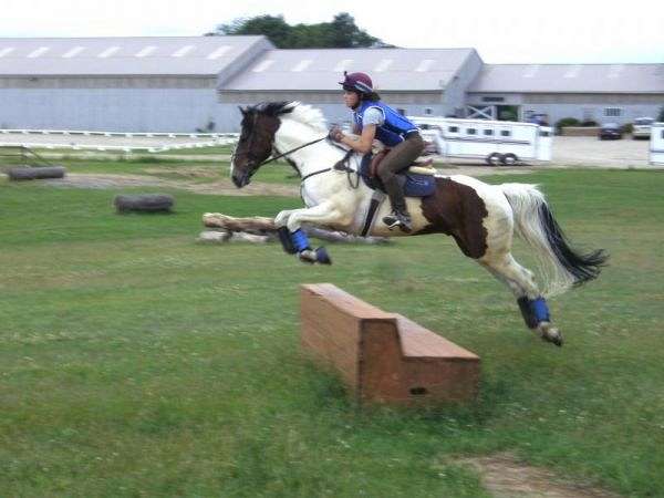 Fox Hill Equestrians Llc On Equinenow Fox Hill Equestrians Llc On Equinenow, Fox Hill Farms