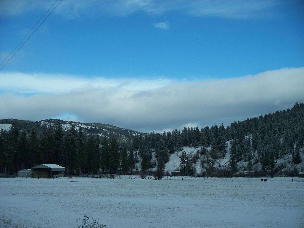 FRYING PAN RANCH on EquineNow