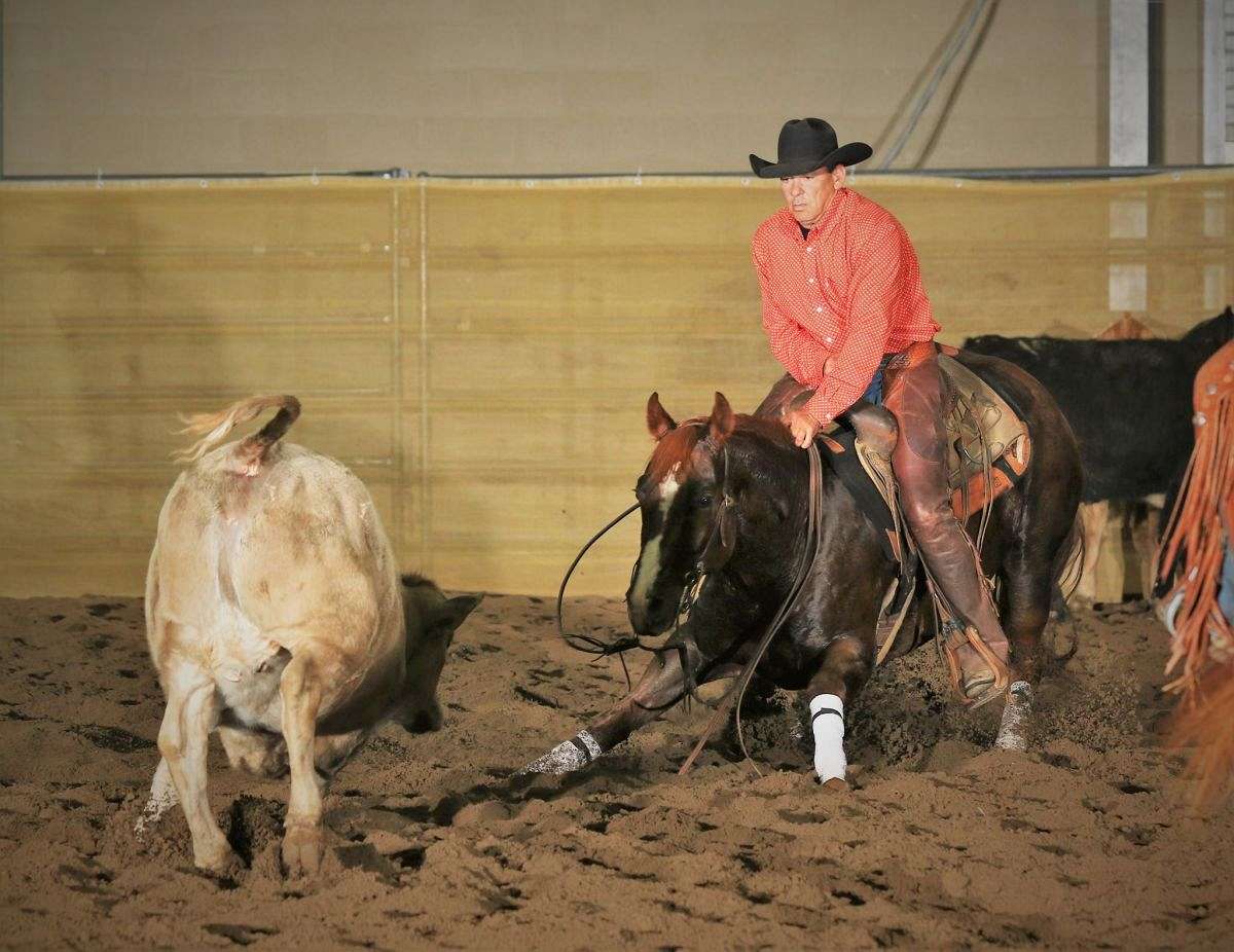 Tracy Surles Cutting Horses (Twin Springs Ranch) on EquineNow