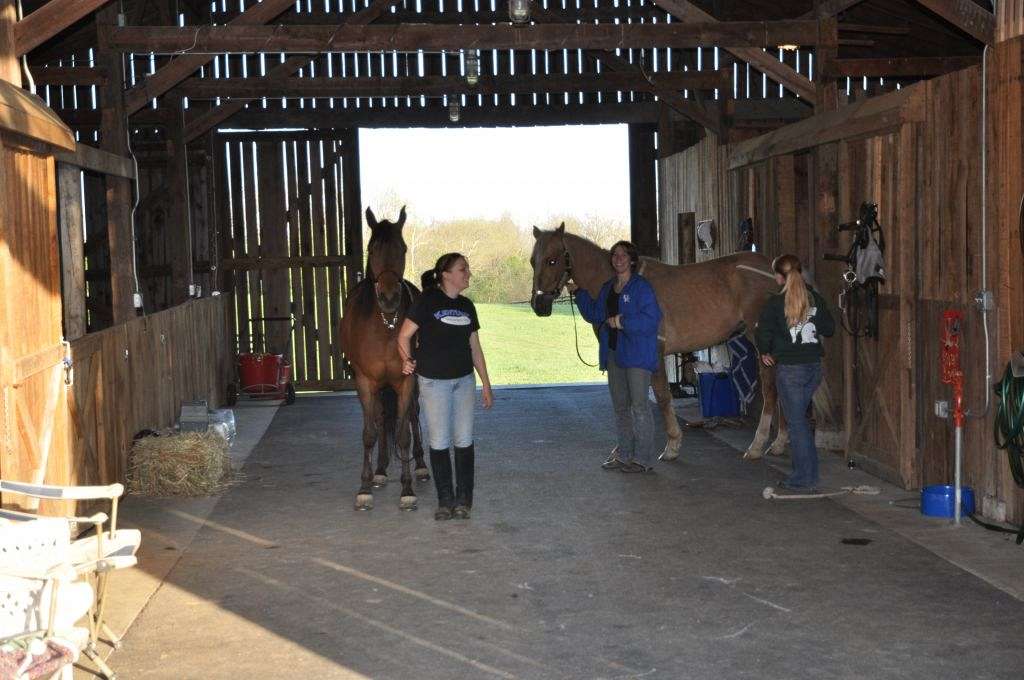 Stable Meadows on EquineNow