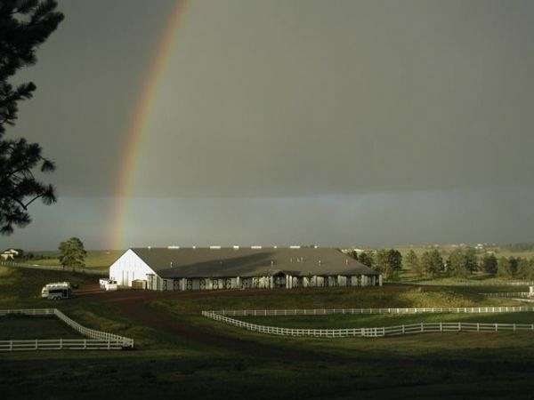 Serenity Farm Show Stables Boarding Training On Equinenow