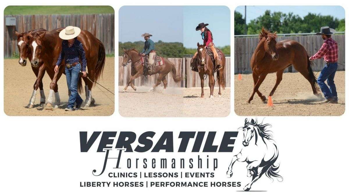 Versatile Horsemanship, LLC (Diamond Lp Ranch) on EquineNow
