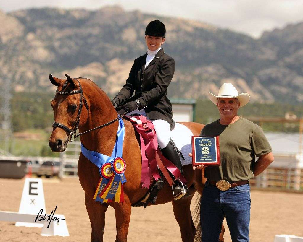 Platinum Performance Horses on EquineNow
