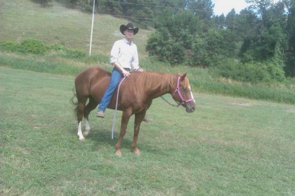 Saddles N Sores Performance Horses on EquineNow