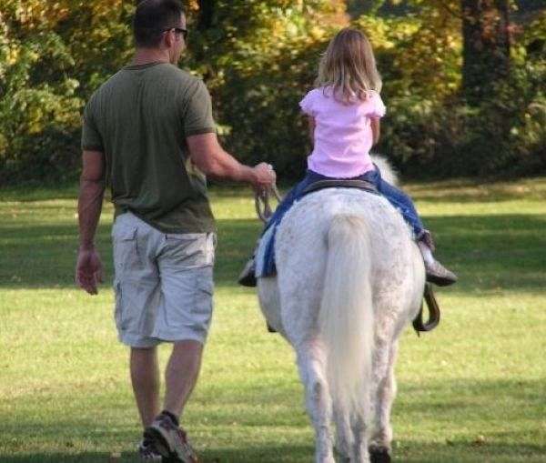 Wind Dance Farm on EquineNow