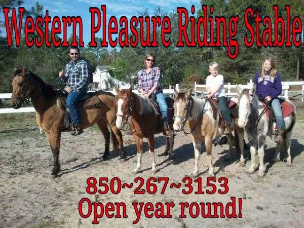 Western Pleasure Riding Stable on EquineNow