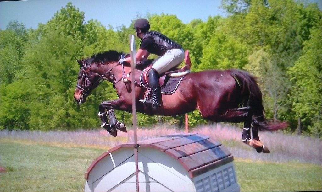 Dappled Creek Equine LLC on EquineNow