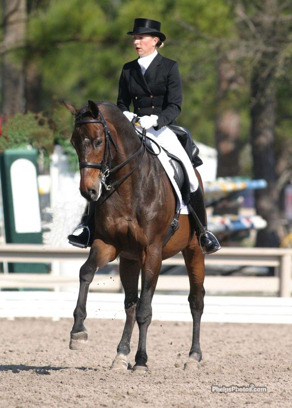 Top Class Dressage on EquineNow